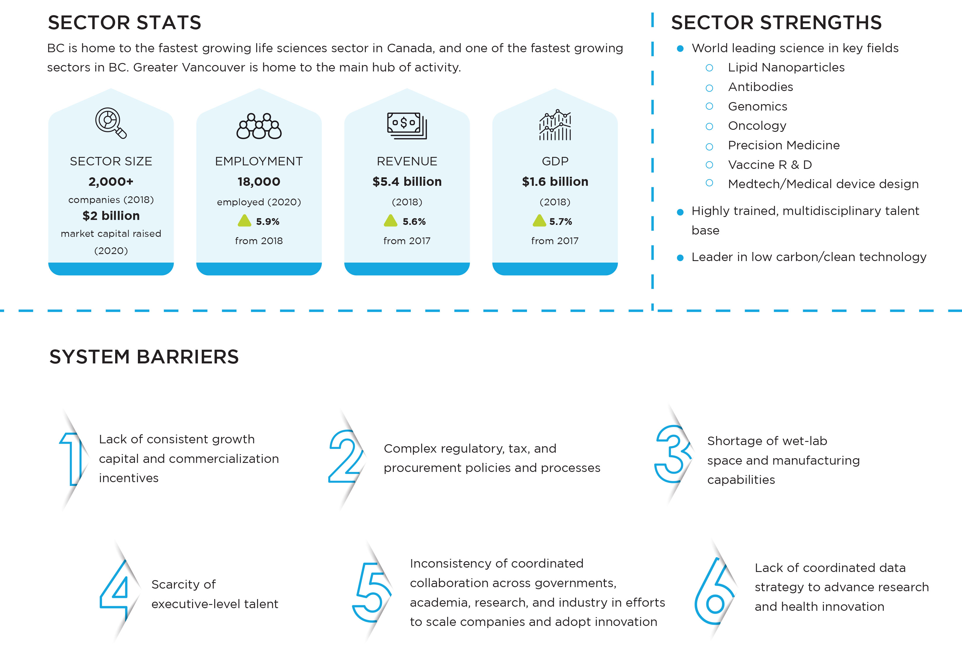 Sector Overview