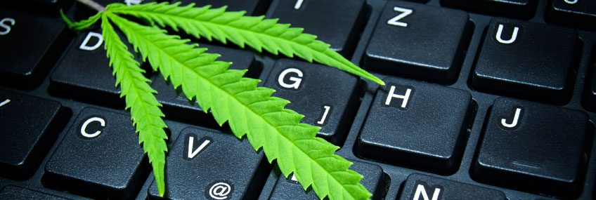cannabis-workplace-header.jpg