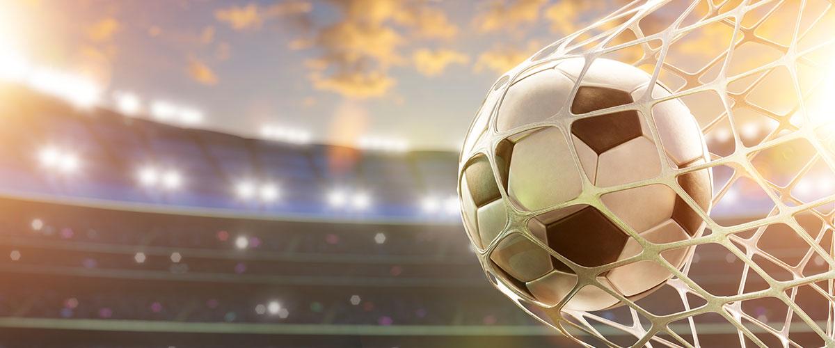 Into the Net: Where Great Connections Begin