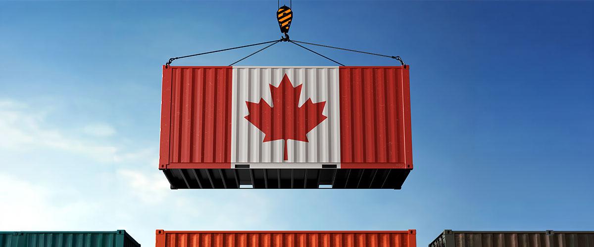 Surviving the Trade War